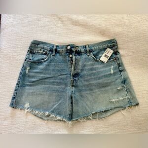 Agolde Parker Jean shorts in color “Swapmeet” - new with tags